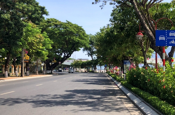 Công tác cải cách hành chính năm 2022 của Công ty Công viên - Cây xanh Đà Nẵng